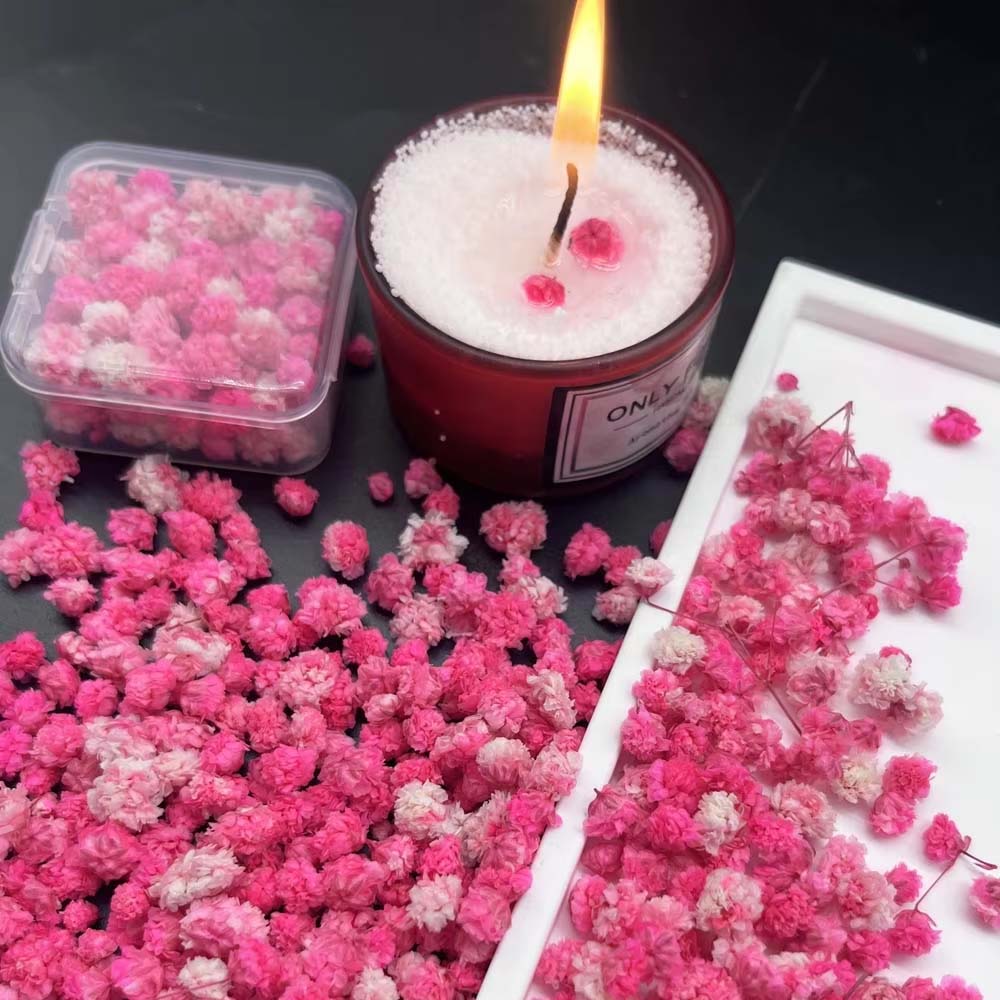 Resin Art Earrings Design - ดอกไม้แห้งผสมสำหรับงานฝีมือ 1 กล่อง สีชมพู สำหรับงานเรซิ่น งานตกแต่งเล็บ